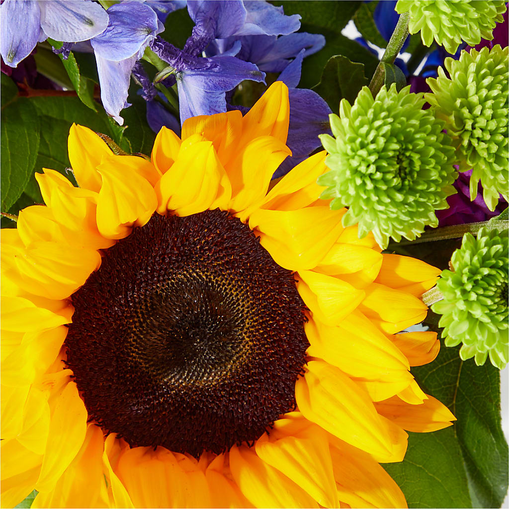 Catching Rays Bouquet – SHARAR'S FLORIST, La Habra CA
