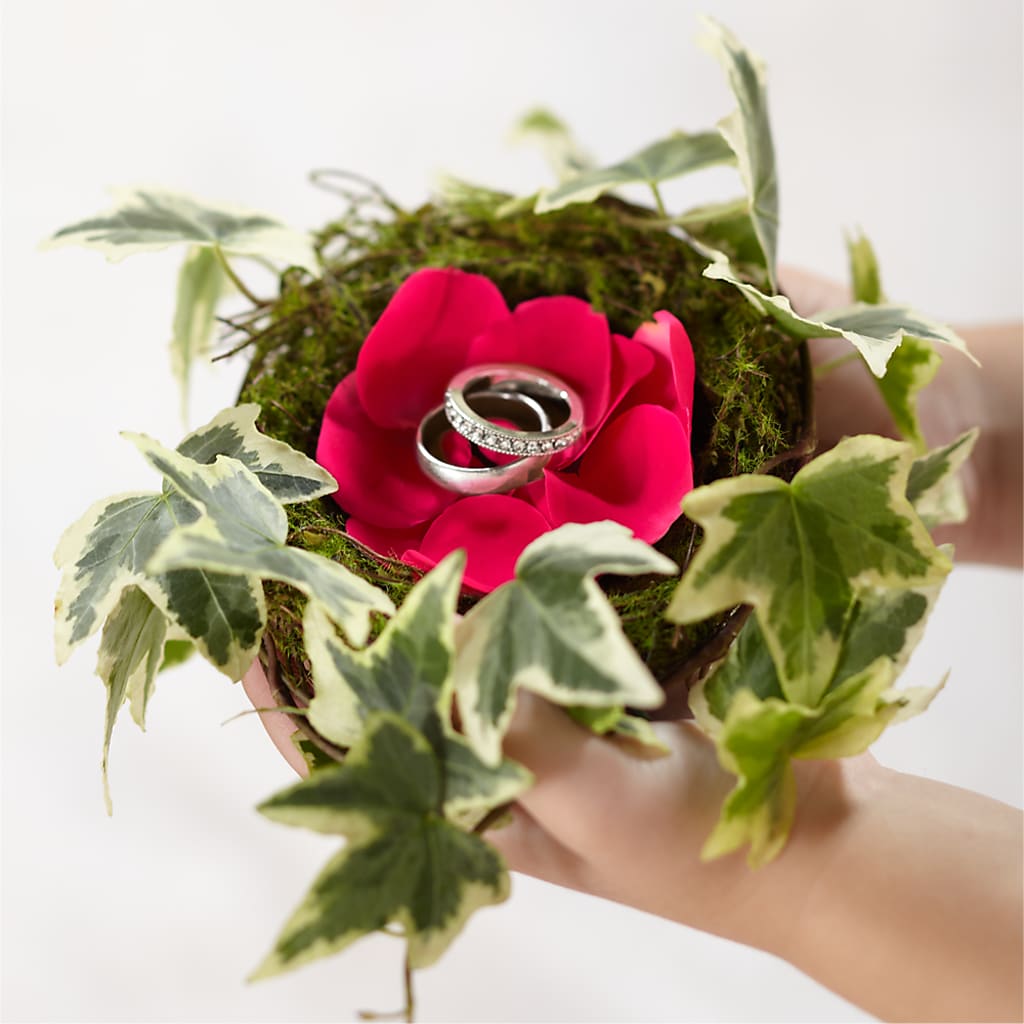 Lila Rose Ring Nest – SHARAR'S FLORIST, La Habra CA