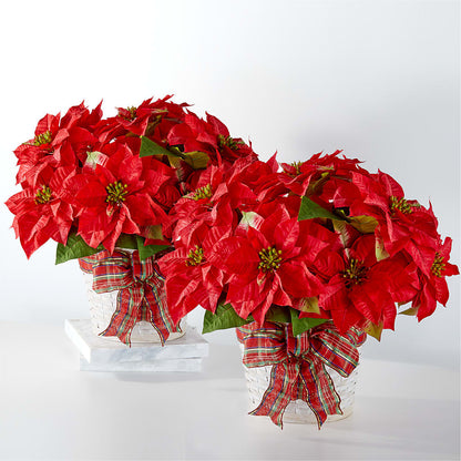 Happiest Holidays Poinsettia Bundle – SHARAR'S FLORIST, La Habra CA
