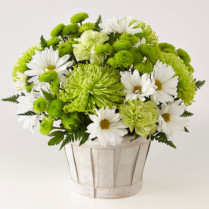 Lucky Charm Basket (Standard) – SHARAR'S FLORIST, La Habra CA