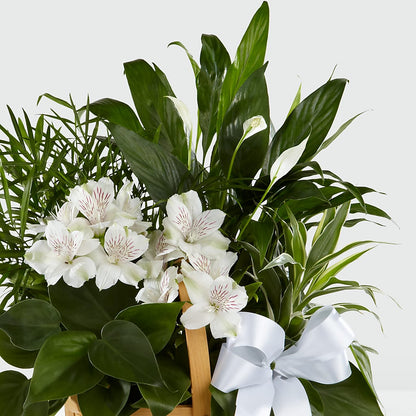 Peace & Serenity Dishgarden – SHARAR'S FLORIST, La Habra CA