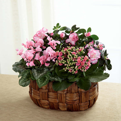 Pink Assortment – SHARAR'S FLORIST, La Habra CA