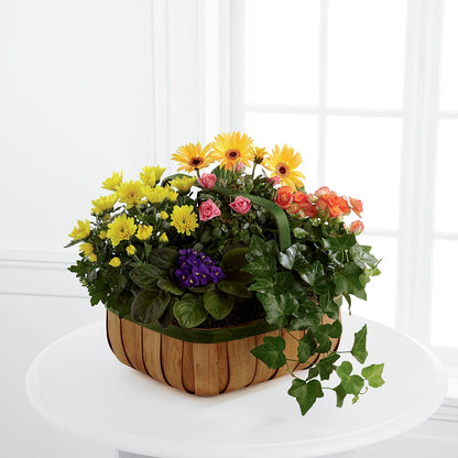 Gentle Blossoms Basket – SHARAR'S FLORIST, La Habra CA