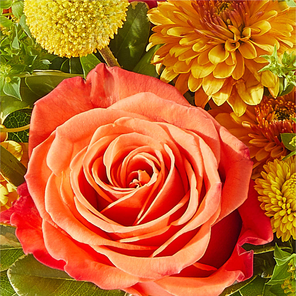 Gourdgeous Pumpkin – SHARAR'S FLORIST, La Habra CA