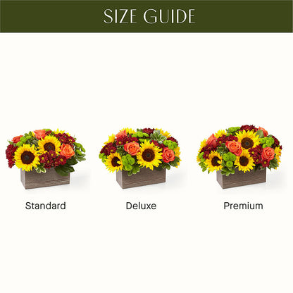 Happy Harvest Garden – SHARAR'S FLORIST, La Habra CA