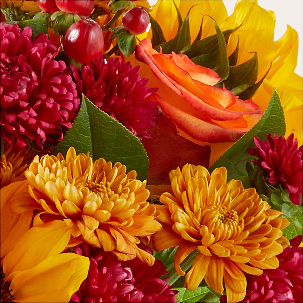 Sweater Season - A Florist Original – SHARAR'S FLORIST, La Habra CA