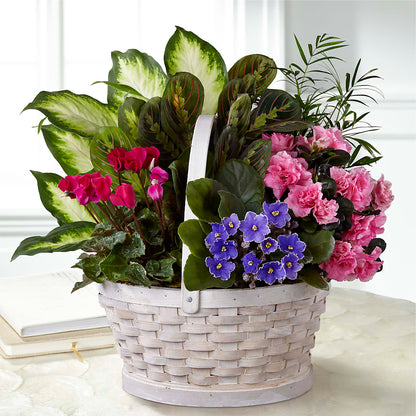 Peaceful Garden Planter – SHARAR'S FLORIST, La Habra CA