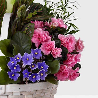 Peaceful Garden Planter – SHARAR'S FLORIST, La Habra CA