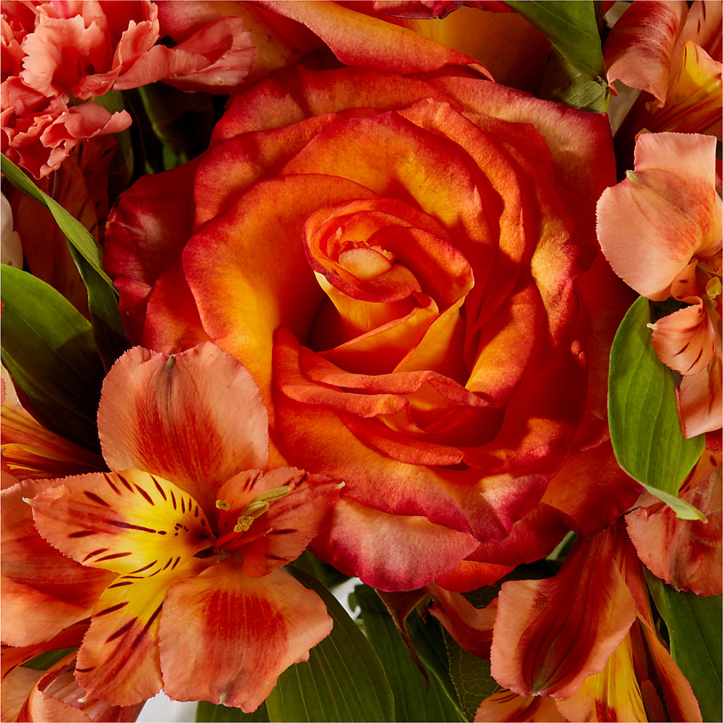 Apricot Glow Bouquet – SHARAR'S FLORIST, La Habra CA