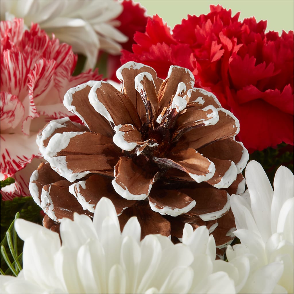 Candy Cane Lane Bouquet – SHARAR'S FLORIST, La Habra CA