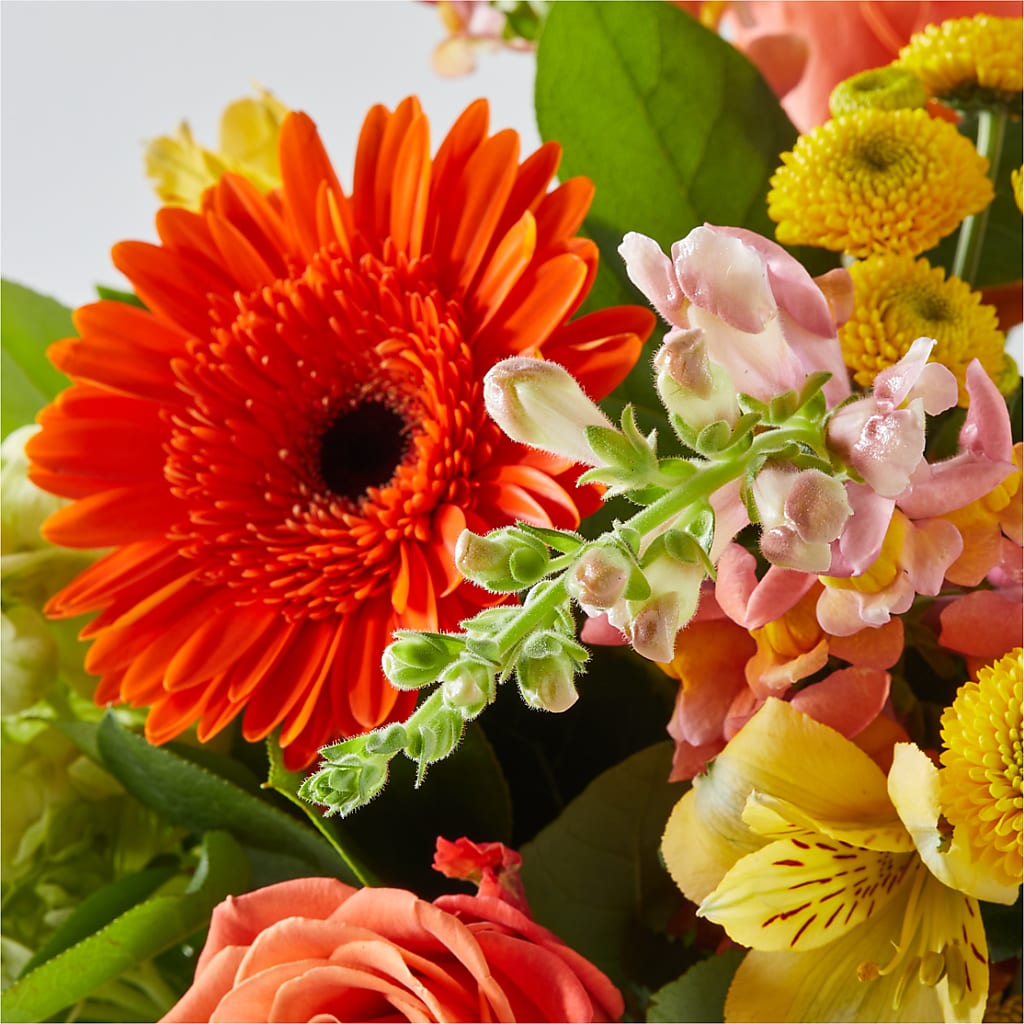 Autumn Sunshine Bouquet – SHARAR'S FLORIST, La Habra CA