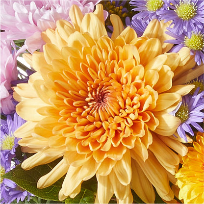 Countryside Bouquet – SHARAR'S FLORIST, La Habra CA