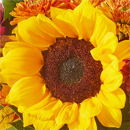 Sunny Side Bouquet – SHARAR'S FLORIST, La Habra CA