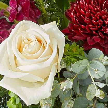 Cranberry Fizz Bouquet – SHARAR'S FLORIST, La Habra CA