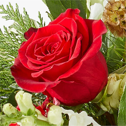 Deck the Halls Bouquet – SHARAR'S FLORIST, La Habra CA