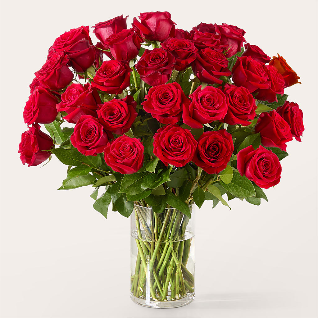The One Red Rose Bouquet – SHARAR'S FLORIST, La Habra CA