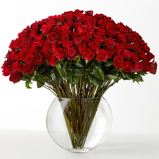 The Idealist – SHARAR'S FLORIST, La Habra CA