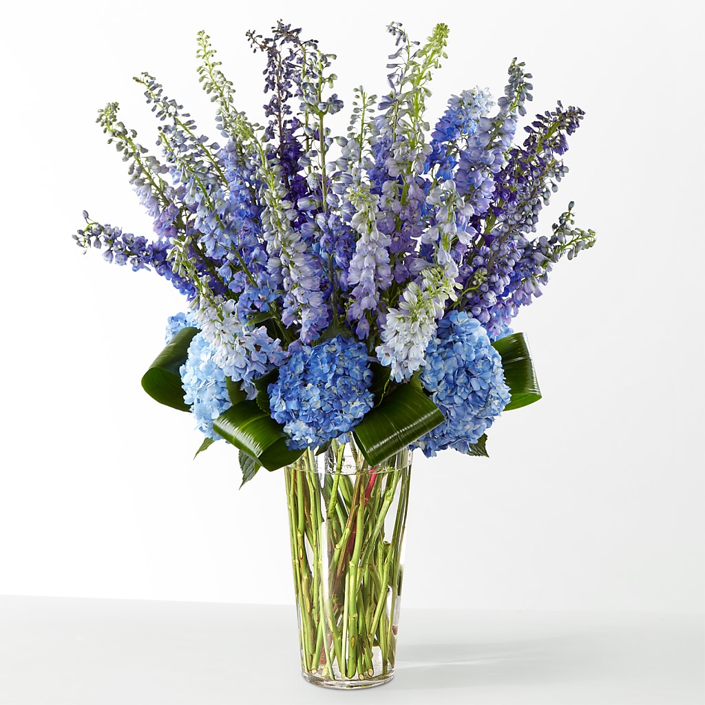 The Editorial – SHARAR'S FLORIST, La Habra CA