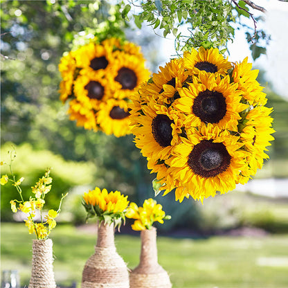 Sublime Garden Hanging Arrangement – SHARAR'S FLORIST, La Habra CA