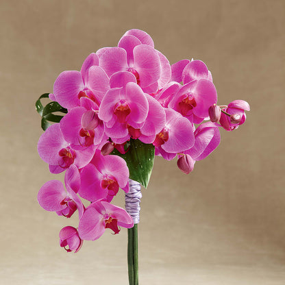 Glorious Bouquet – SHARAR'S FLORIST, La Habra CA